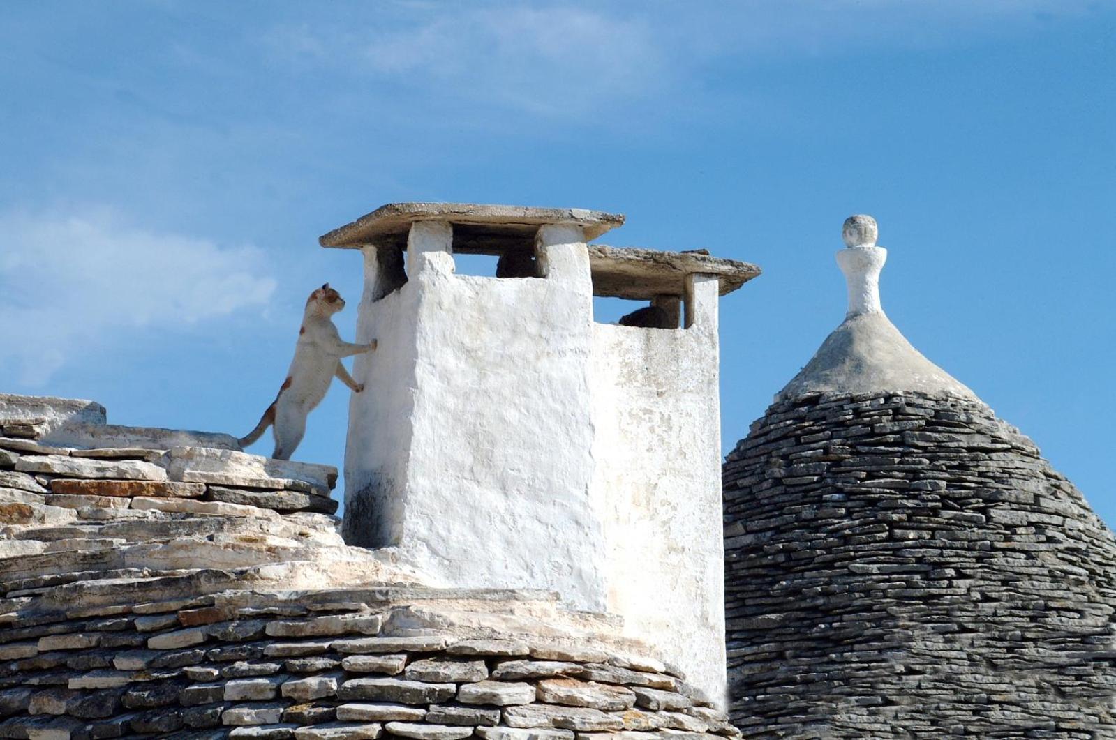 B&B Corso Trieste E Trento Alberobello Eksteriør billede